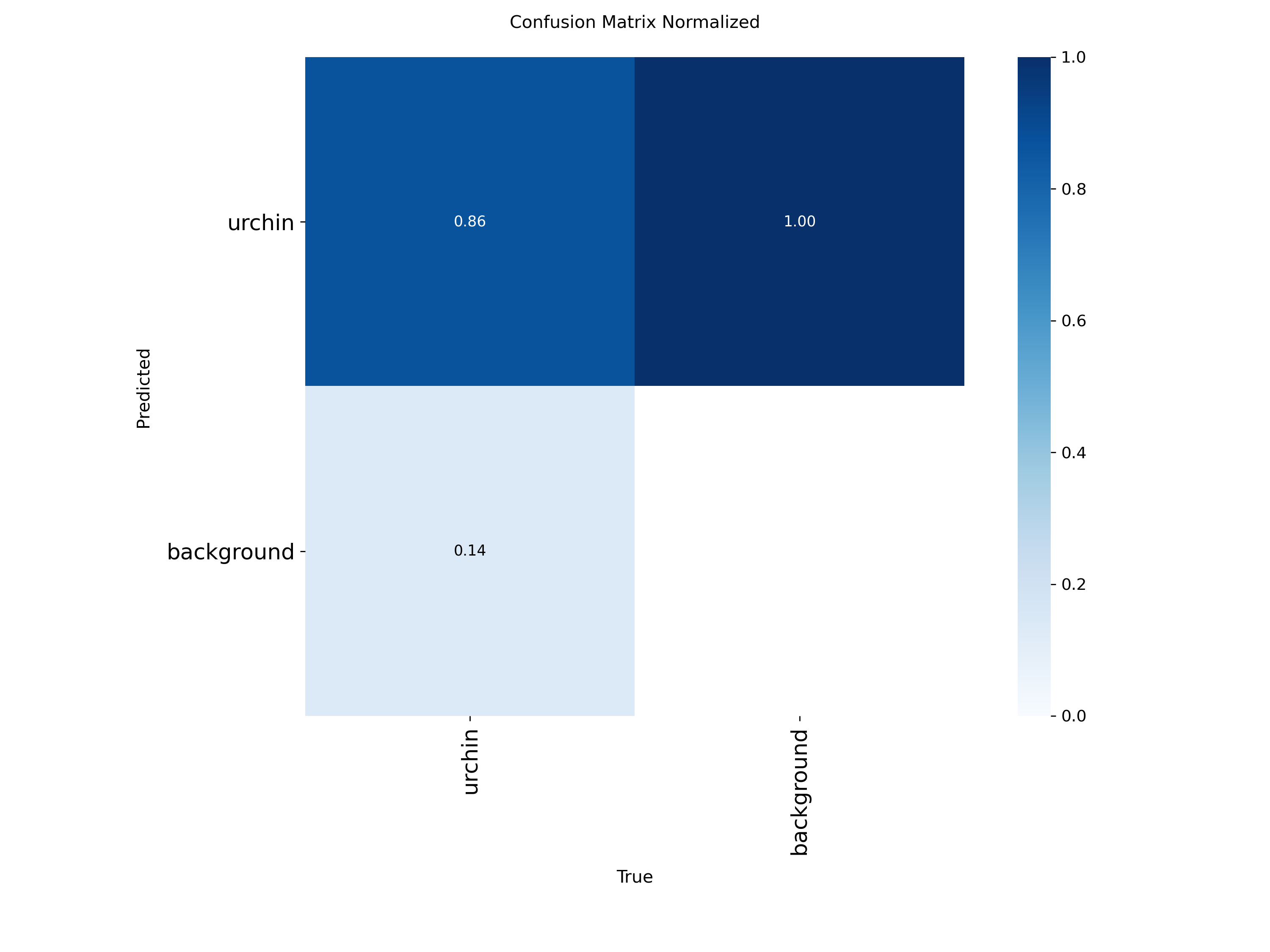 Confusion Matrix (Normalized)