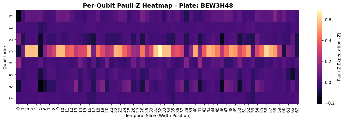 Pauli-Z Heatmaps