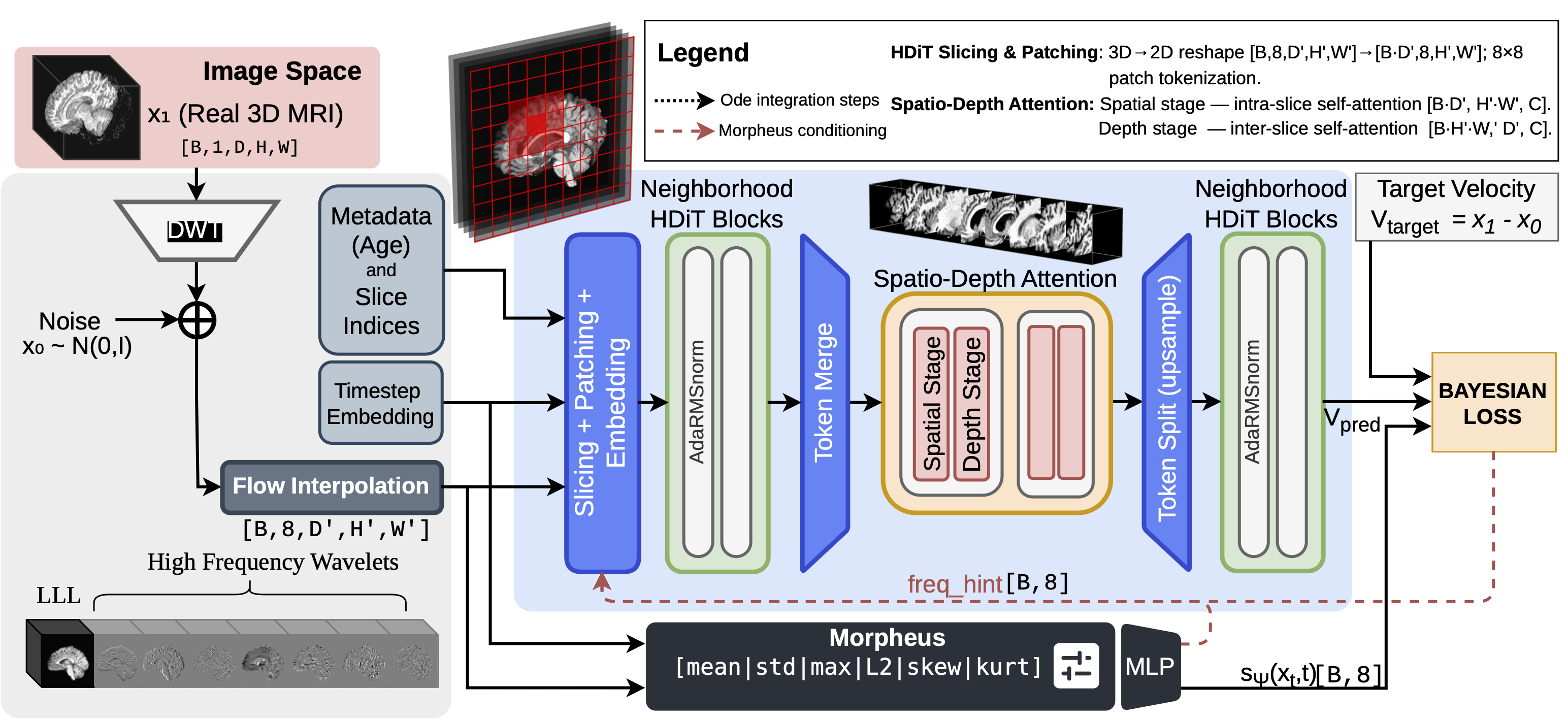 WaveDiT architecture