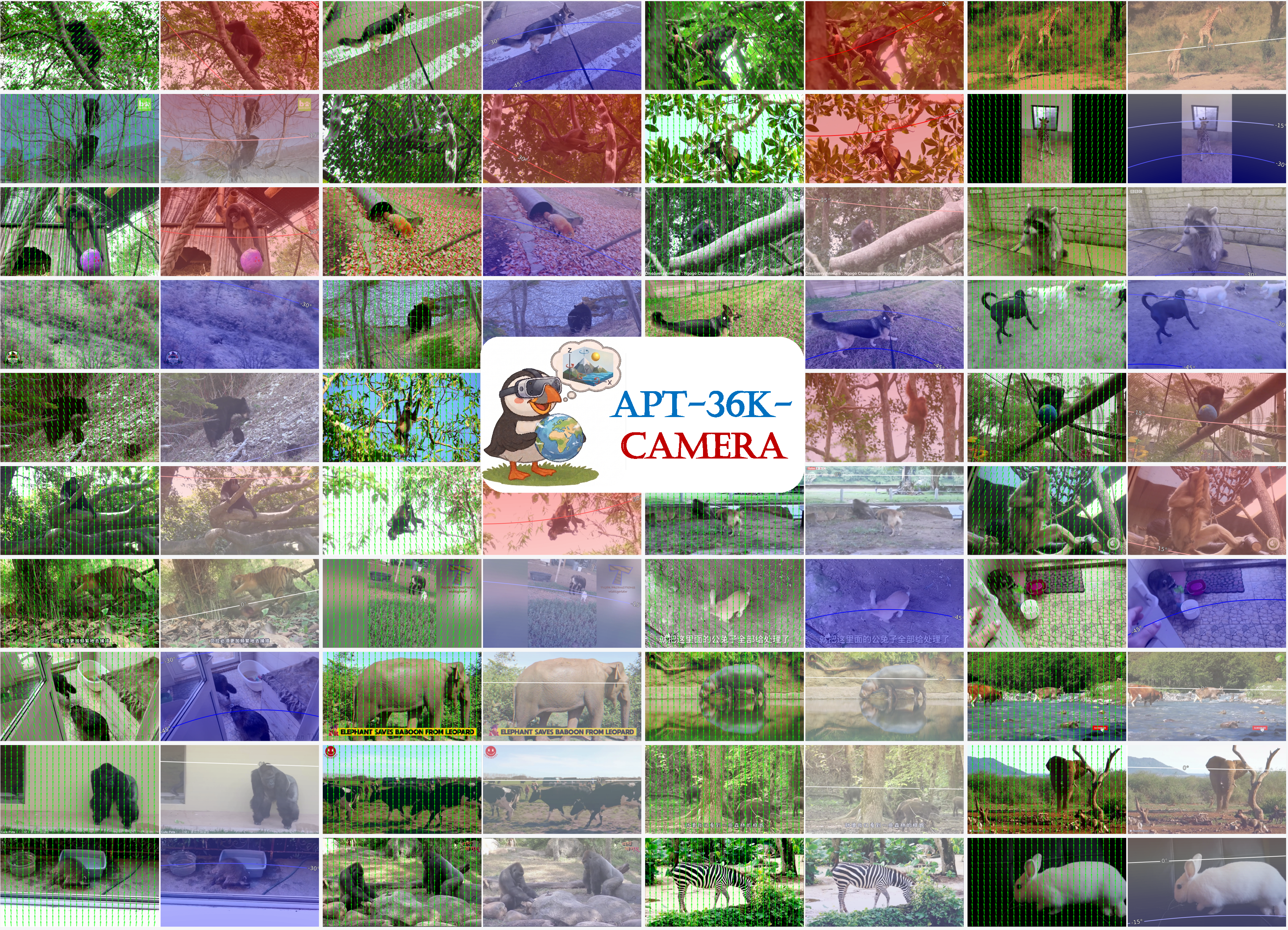 camera map collage
