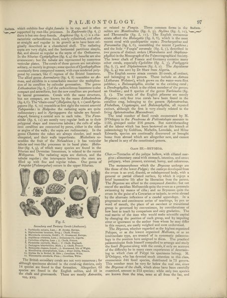 1853 · 8th ed. · text page (Palaeontology)