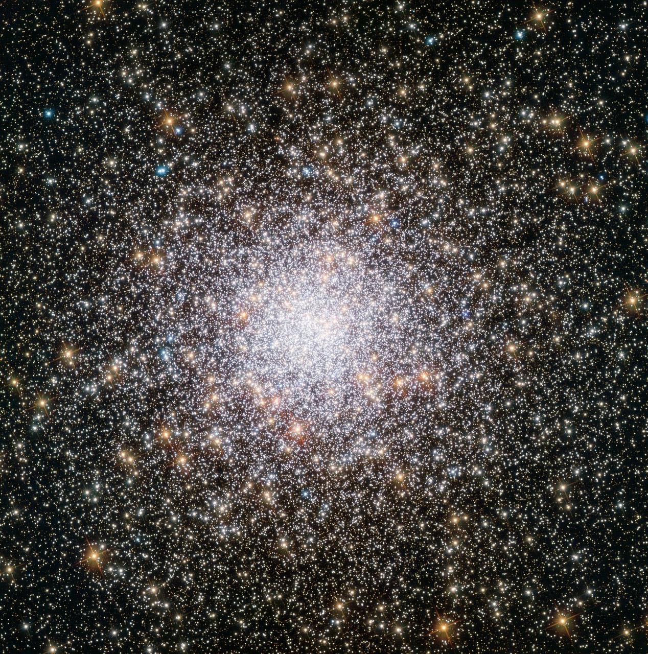 A field of stars observed by the Hubble Space Telescope