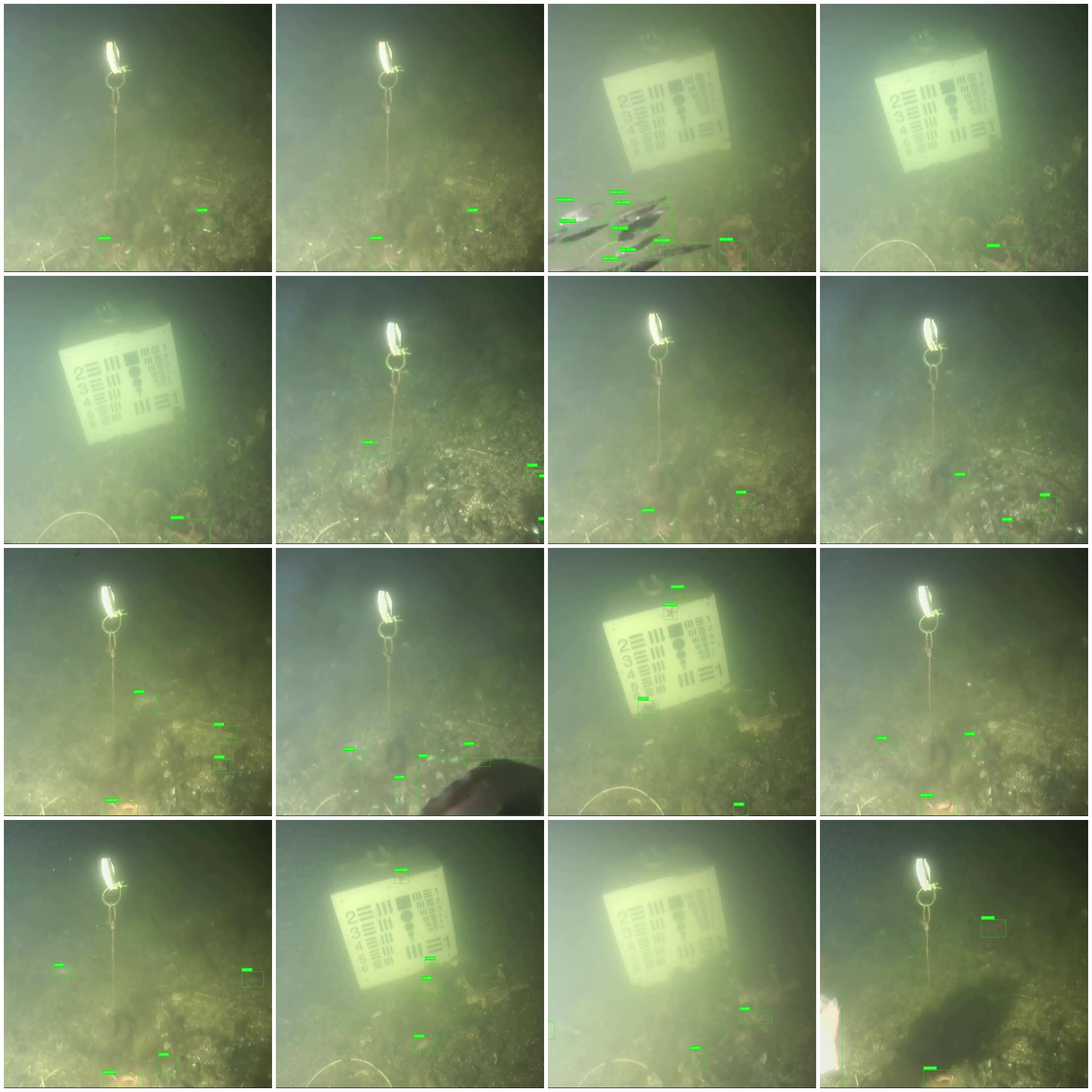 Brackish Underwater Detection Demo