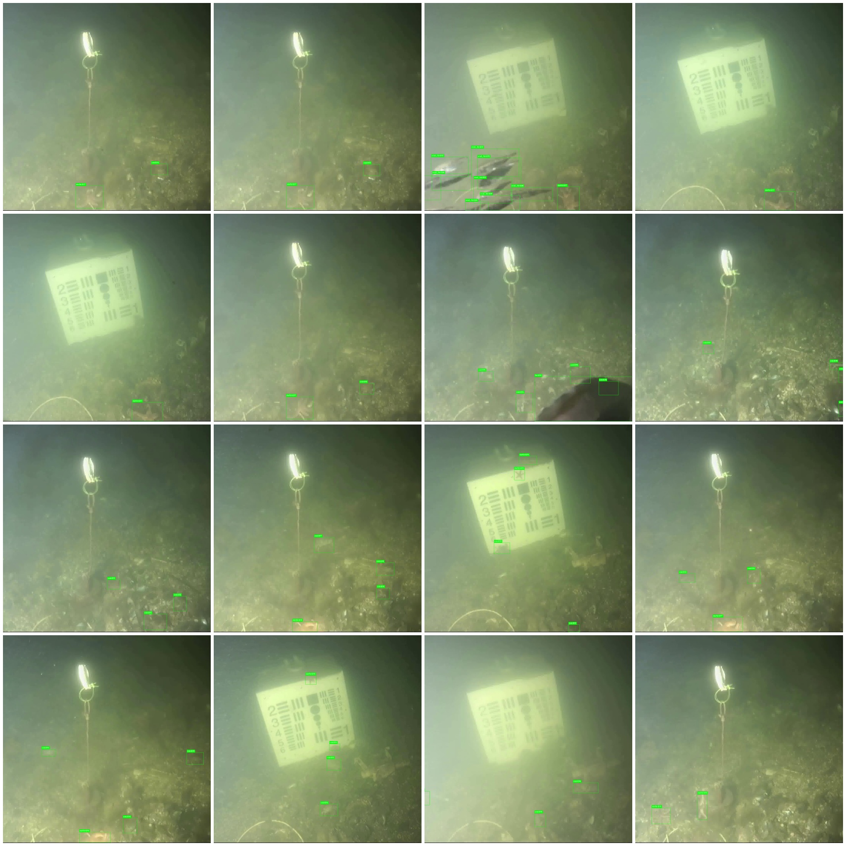 Brackish Underwater Detection Demo