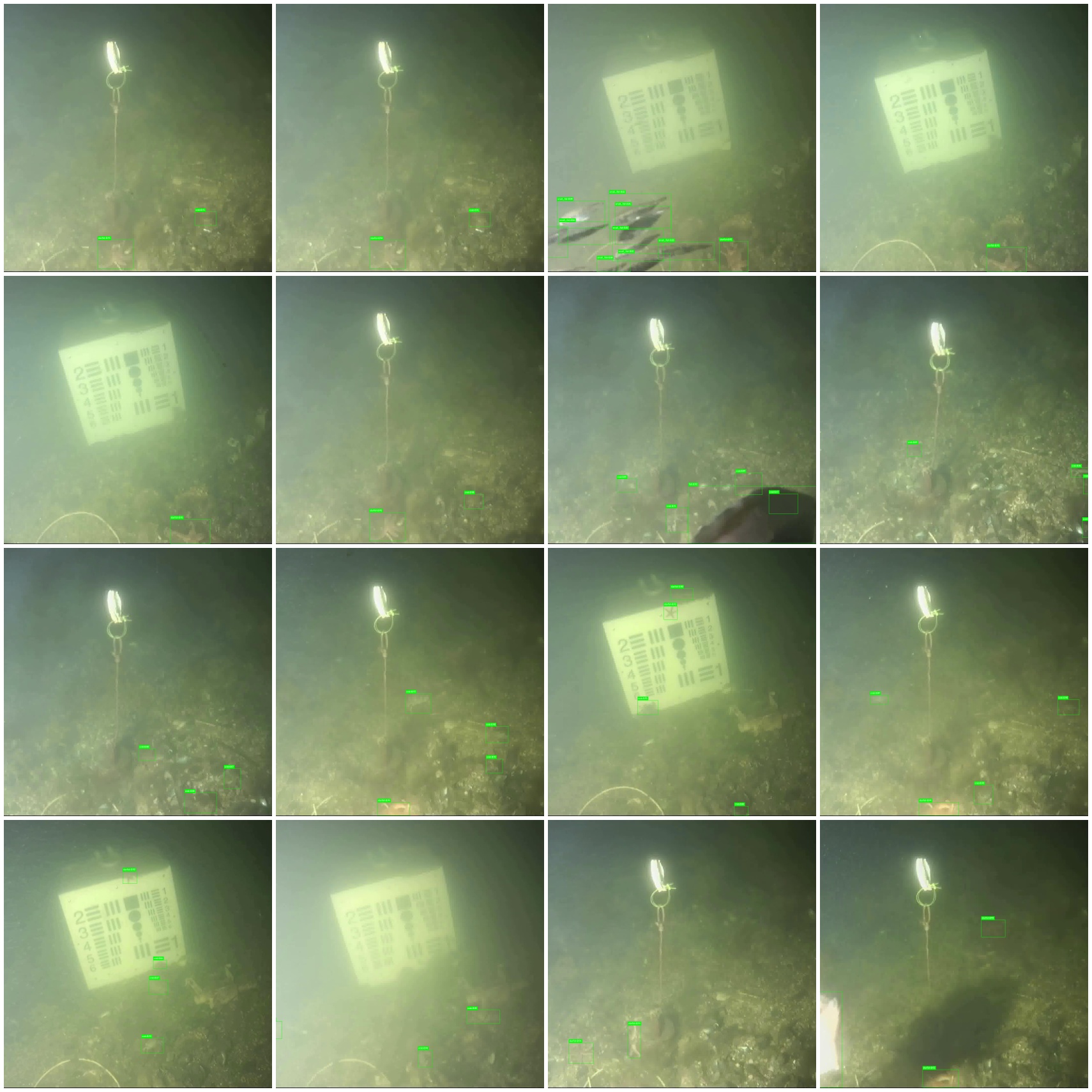 Brackish Underwater Detection Demo