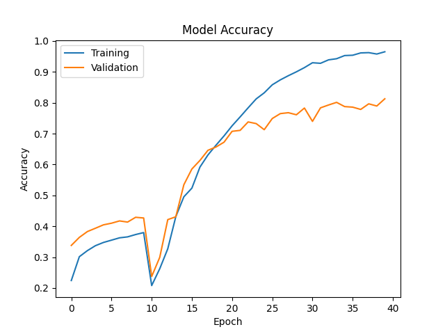 Training Accuracy