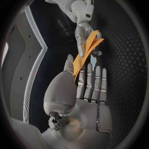 Sample wrist-left RGB