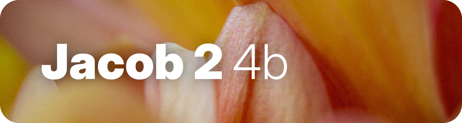 Jacob 2 4b banner