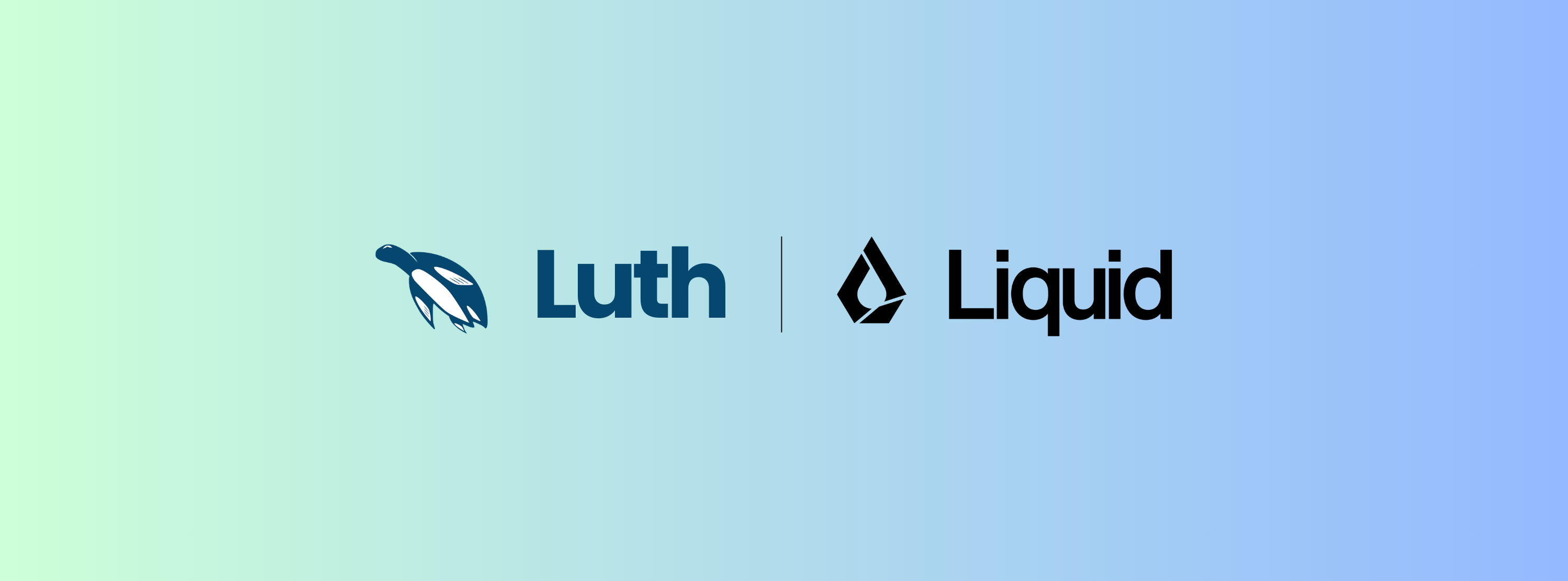 Luth x LFM2