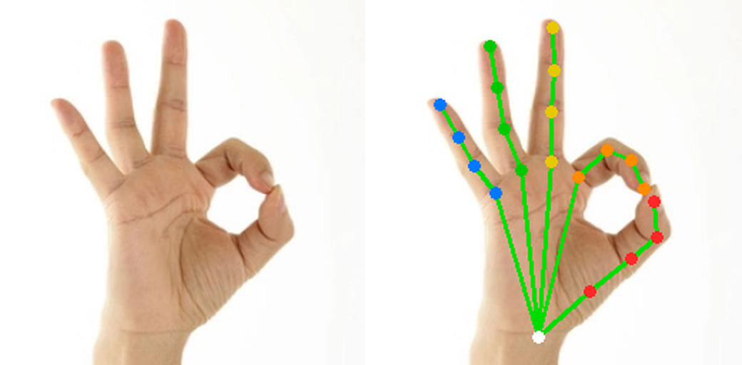 RTMPose-Hand — input | hand skeleton (on-device LiteRT GPU)