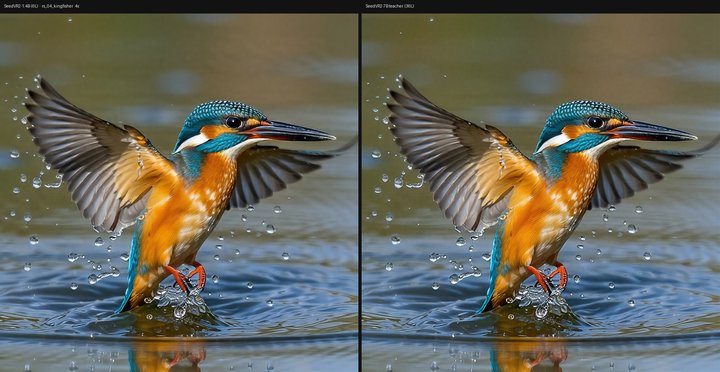 kingfisher 4x full