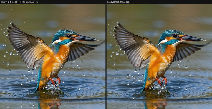 kingfisher 4x
