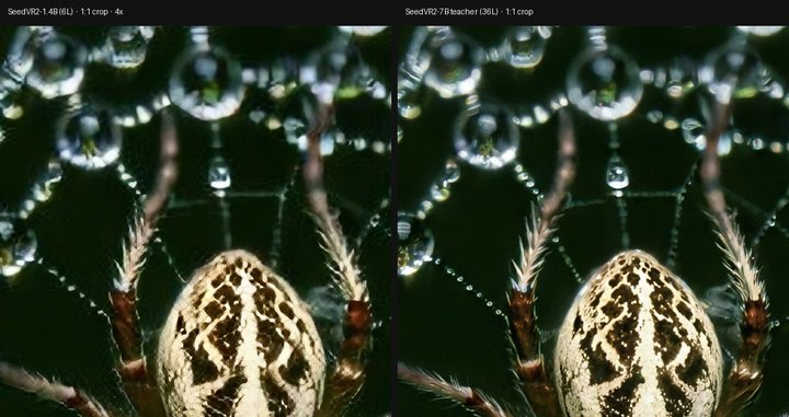 spiderweb 4x
