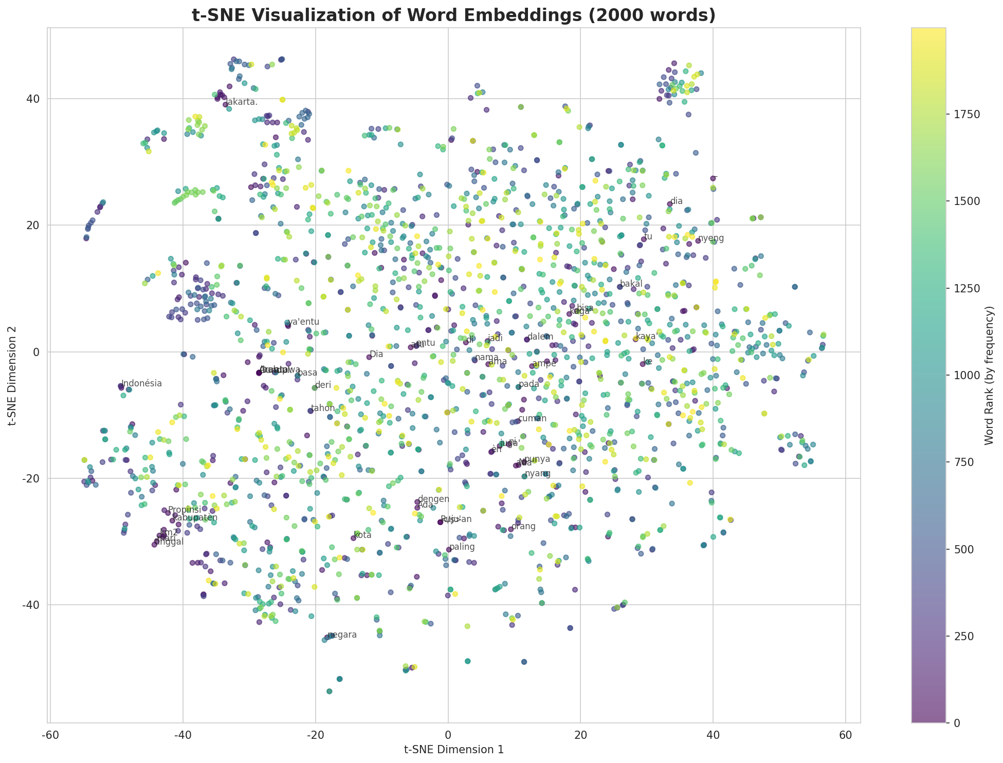 t-SNE Words