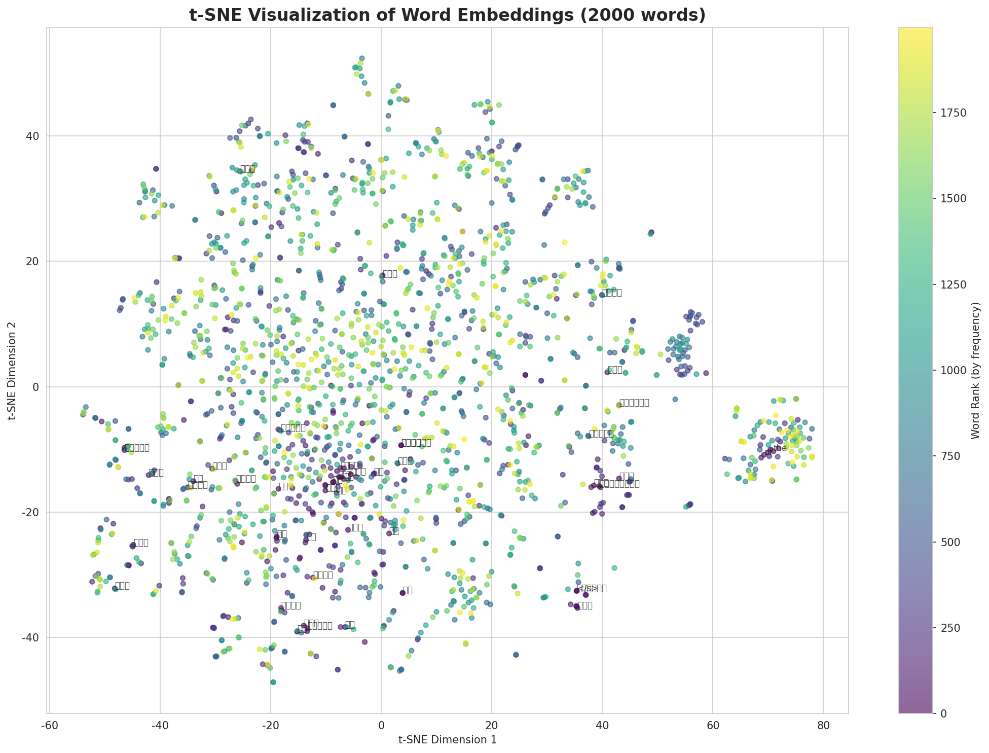 t-SNE Words